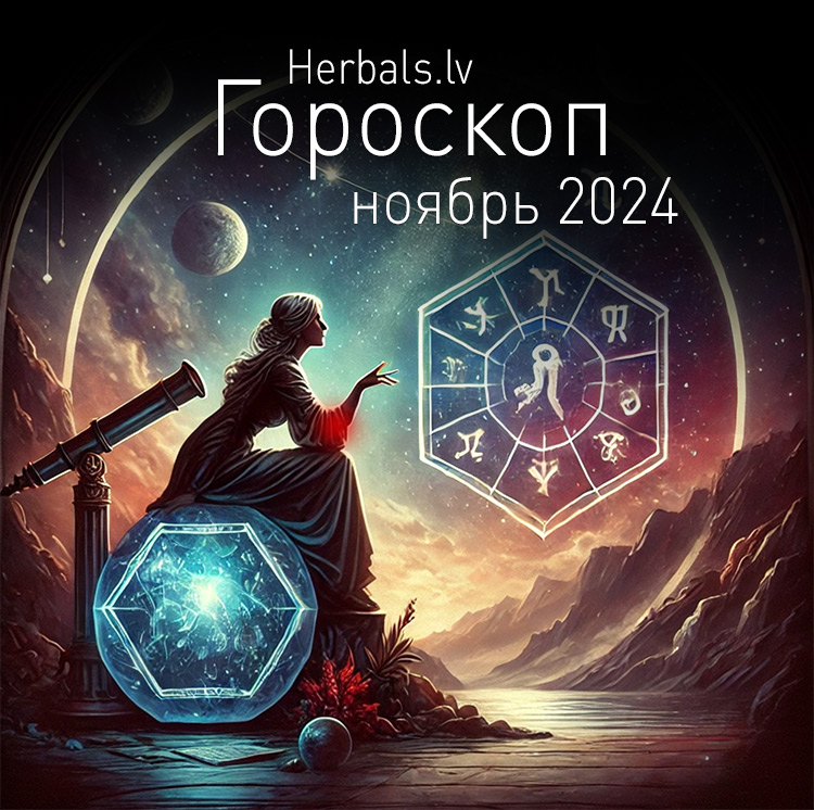 Гороскоп на ноябрь 2024 для каждого знака