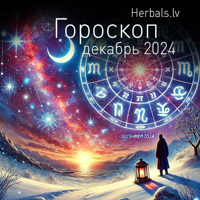 Гороскоп на декабрь 2024 для каждого знака